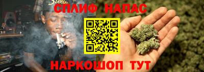 стаф Будённовск