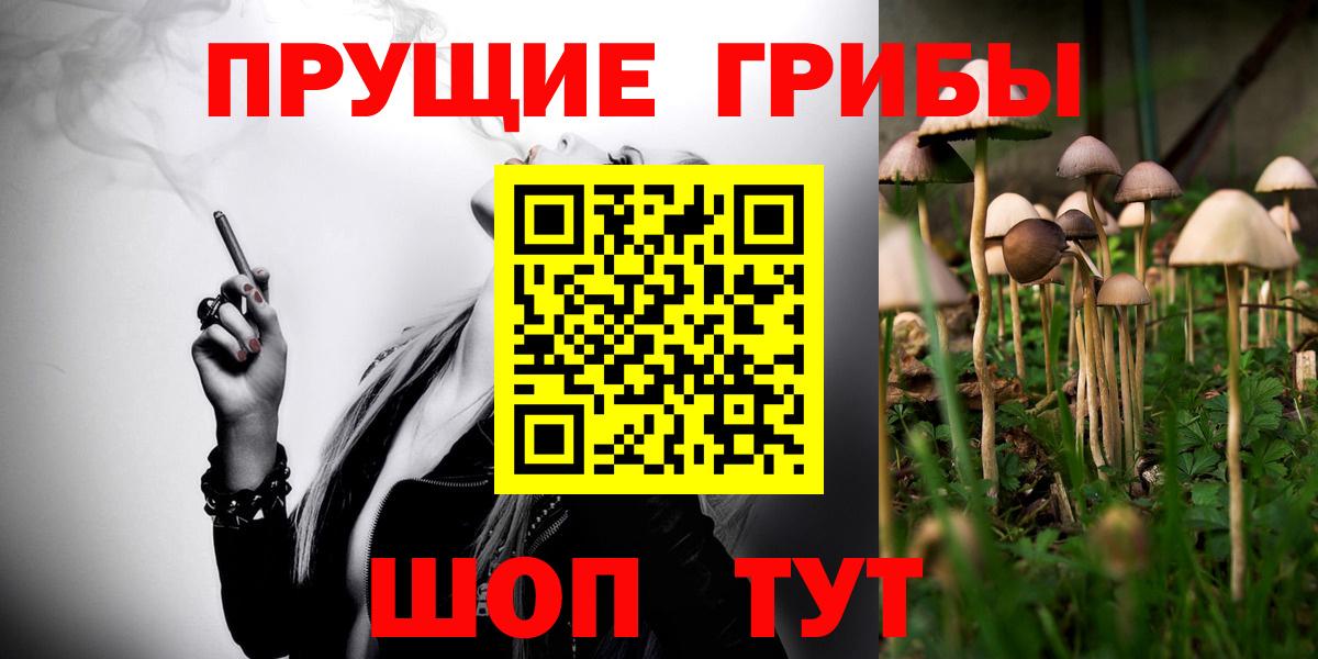 Псилоцибиновые грибы Cubensis  Псилоцибиновые грибы мухоморы  Вход с VPN  Михайловск 