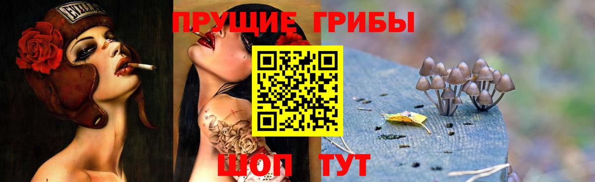 Галлюциногенные грибы ЛСД Михайловск